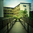 原野云上 | 风景建筑摄影 作品缩略图006